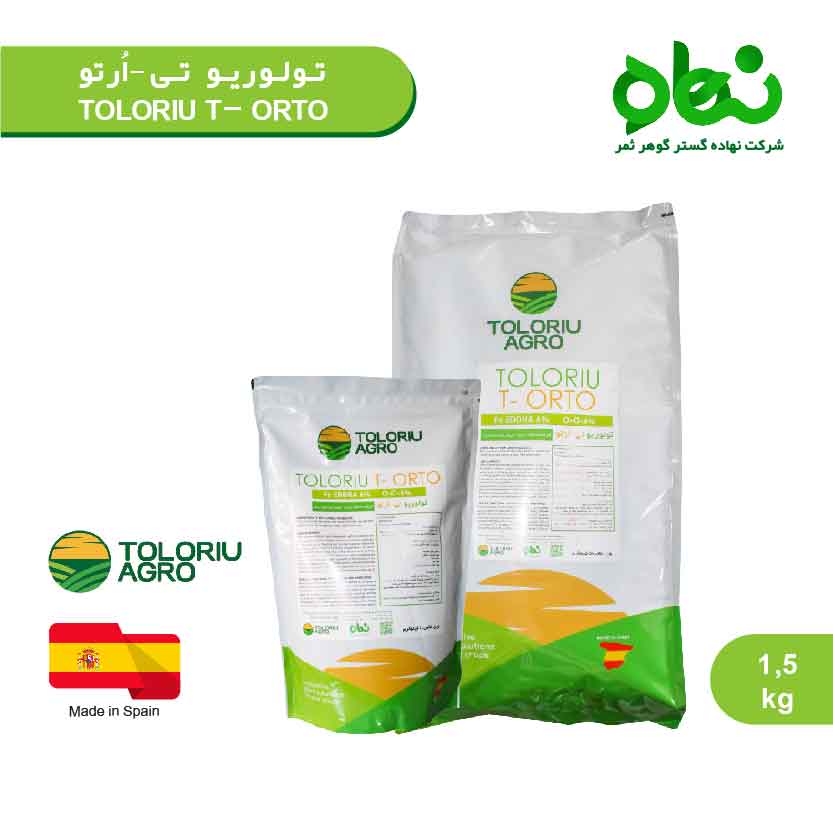 تولوریو تی - ارتو